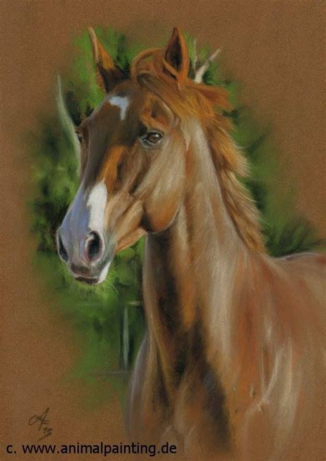 Pastel Horse Drawing By Angela Franke Horse Painting Equine Artwork