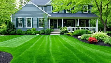 Best lawn fertilizer for green grass