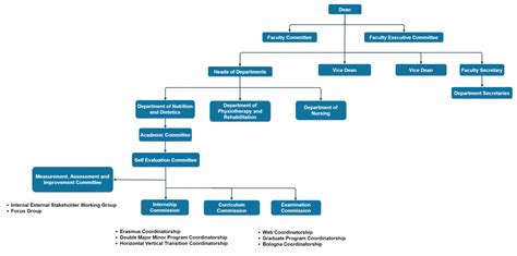 Organization Schema Faculty Of Health Sciences