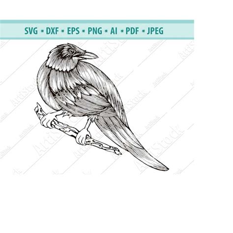 Raven SVG Crow Zentangle Svg Raven Clipart Raven Files Fo Inspire