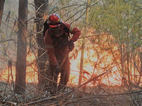 Decretan Alerta Temprana Preventiva En Provincias De Valparaíso Marga Marga Y San Felipe Por