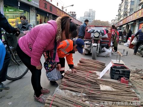 街道小贩图片小摊小贩图片街道图片大山谷图库