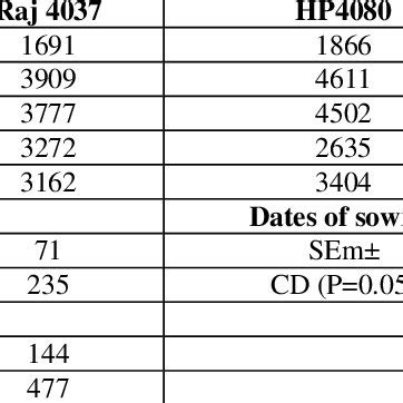 Interaction Effect Of Dates Of Sowing And Varieties On Grain Yield Kg