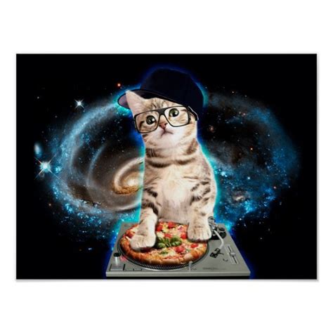 Dj Cat Space Cat Cat Pizza Cute Cats Poster Funny Memes Cute