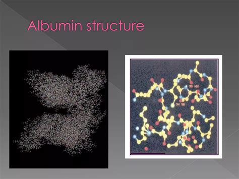 Albumin Structure Function And Uses 9