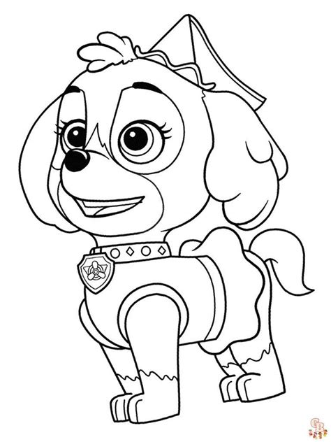 Paw Patrol / Baptism "Coloriage Pat Patrouille" | Catch My Party