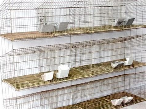 Rabbit Cages Manufacturer China