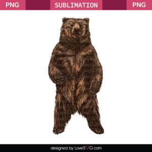 Bear Sublimation File Lovesvg