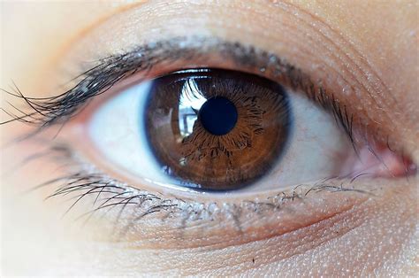 worlds population  eye color worldatlas