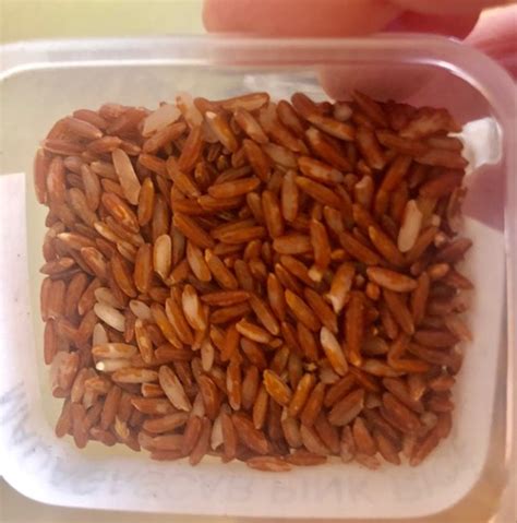 Grains Flashcards | Quizlet