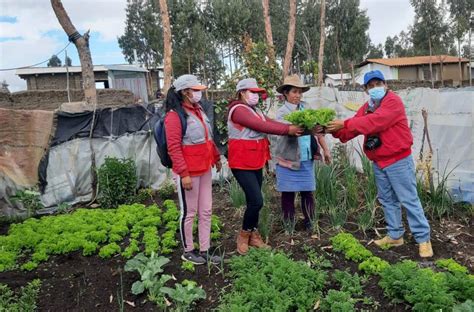 La Libertad Fortalecen Capacidades Productivas En Carabamba Con