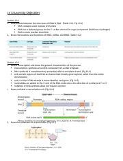 Ch 13 Genetics Docx Ch 13 Learning Objectives Section 13 1 1