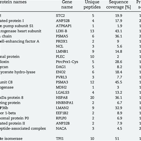 The Silac Based Quantitative Proteomics Strategy Was Applied To Analyze