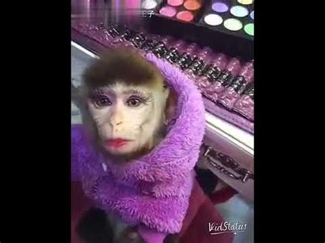 Monkey Makeup Images - Mugeek Vidalondon