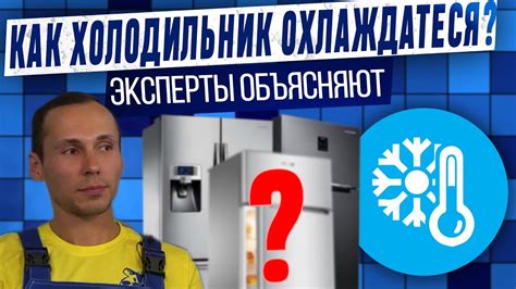 Как происходит процесс охлаждения вашего холодильника? Объяснение ...