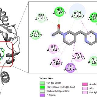 Binding Mode Of Compound BBC 29956160 At The Active Pocket Of