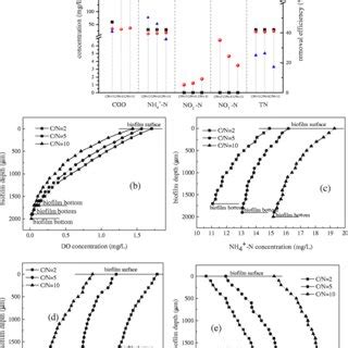 The Influent And Effluent Concentration Of COD NH4 N NO2 N NO3 N