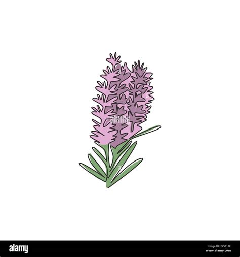 One Continuous Line Drawing Of Beauty Fresh Lavandula For Garden Logo