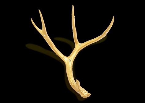 Gold Deer Antler Medium Crystamas