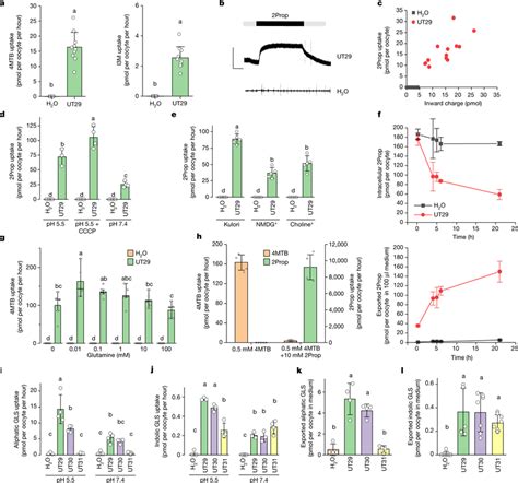 Biochemical And Biophysical Characterization Of Arabidopsis Umamit