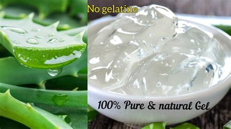 How To Make Aloe Vera Gel At Homeअगर इस तरीके से बनाओगे Aloevera Gel कई महीनों तक Store कर सकते