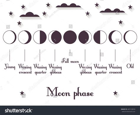 Phases Moon Whole Cycle New Moon Stock Vector (Royalty Free) 465153818 | Shutterstock