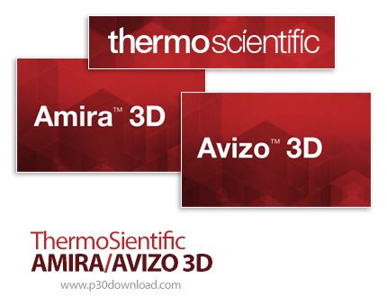 Thermo Fisher Scientific Amira Avizo D