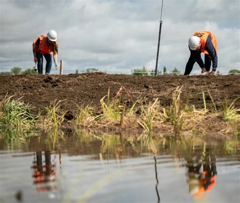 Constructed Wetlands FiveRivers Environmental Consultant