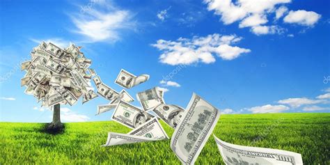 Money Tree In Meadow Stock Photo By ©olegkalina 51452125