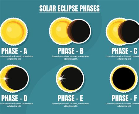 Solar Eclipse Phases Sticker Vector Art & Graphics | freevector.com