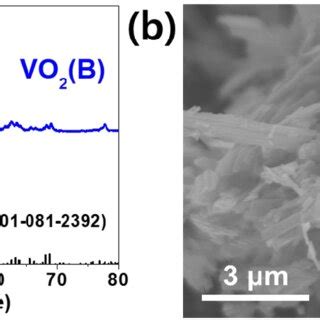 Fig S1 A XRD Pattern And B SEM Image Of The As Synthesized VO 2