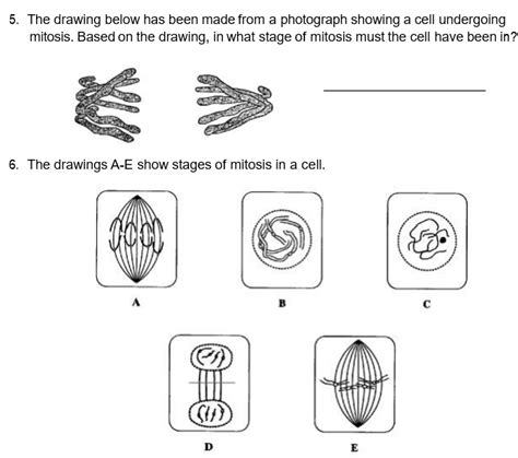 Solved 1 Label The Following Diagram With The Phase Of