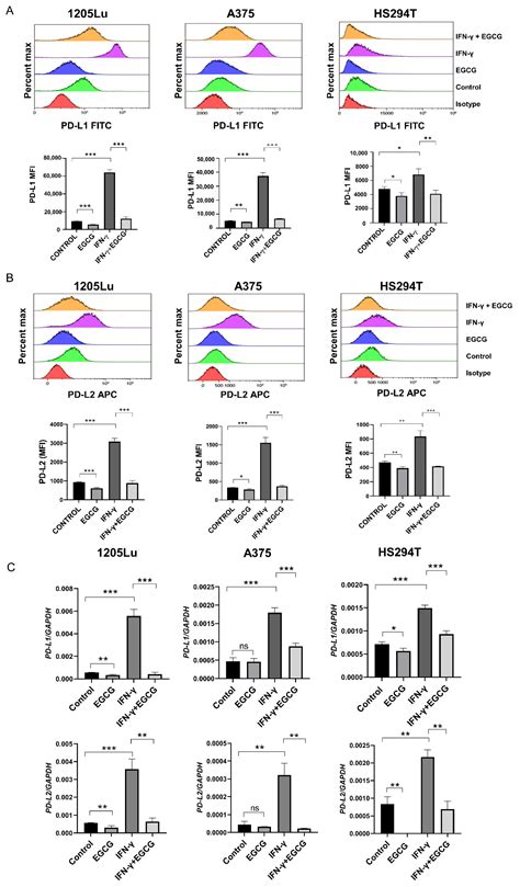 Pharmaceuticals Free Full Text Egcg Inhibits Tumor Growth In