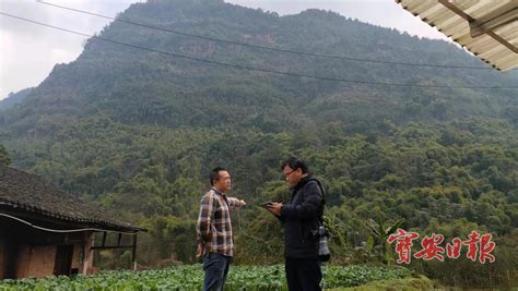 新春走基层：乡村振兴“花样多” 年夜饭飘出“幸福味” 宝安湾