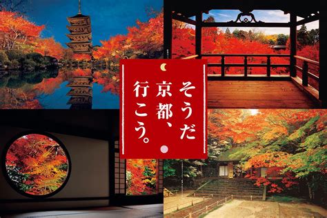 Jr東海「そうだ 京都、行こう。」は今年で30年！専任カメラマン高崎勝二さんが撮り続けた京都社寺“至宝の紅葉”舞台ウラを語る 週刊女性prime