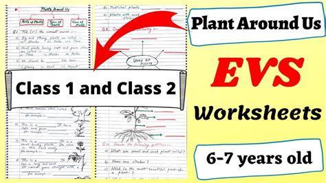 Plant Around Us For Class 1 EVS Plants Worksheet Grade 1 Grade 1 EVS