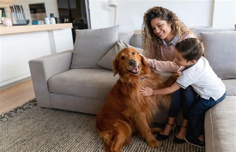 3 Tips To Find Pet Friendly Apartments