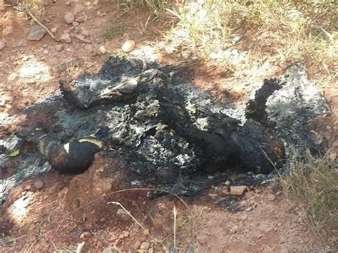 Sacerdotus Mom Stabs Sets Son On Fire For Being Gay