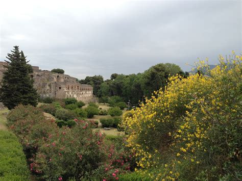 Pompeii, The World's Most Famous Outdoor Museum - The Museum Times