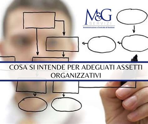 Cosa Si Intende Per Adeguati Assetti Organizzativi