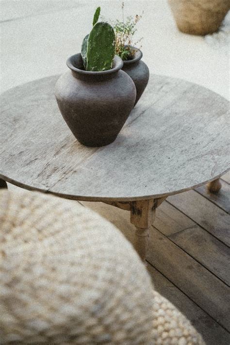 Green Plant on Brown Wooden Table · Free Stock Photo