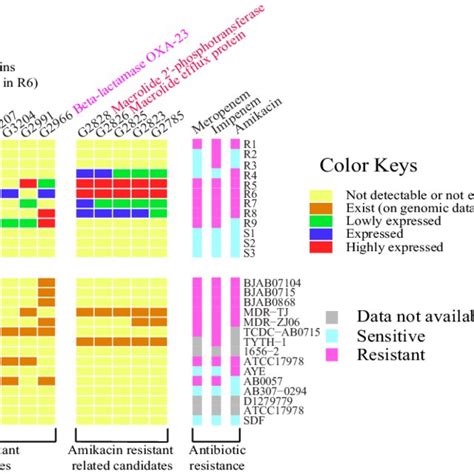 Identification Of Novel Antibiotic Specific Resistance Genes Each