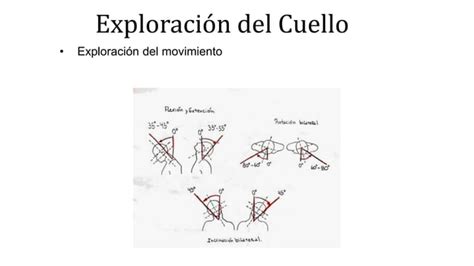 Semiologia De Cabeza Y Cuello De Medicin Ppt Descarga Gratuita