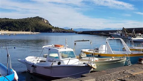 Marina Di Camerota Giovane Accoltellato Sul Porto Il Giornale Di