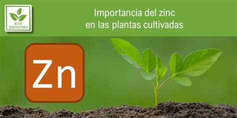 Importancia Del Zinc En Las Plantas Cultivadas