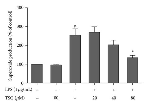 TSG Inhibited LPS Induced ROS Production And NADPH Oxidase Activation