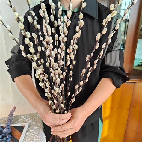 Pussy Willow Wreath Etsy