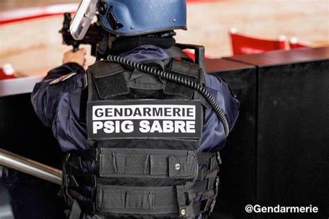 Gsg9 1 87 Unité spéciale PSIG Sabre