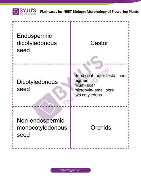 Morphology Of Flowering Plants Flashcards For Neet Biology