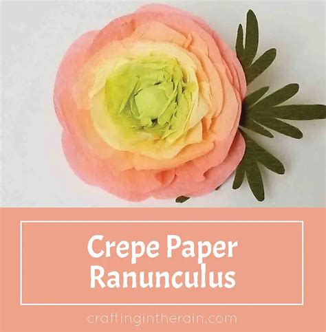 How To Make Crepe Paper Ranunculus Crafting In The Rain